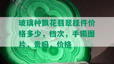 玻璃种飘花翡翠挂件价格多少，档次，手镯图片，贵吗，价格