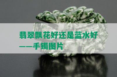 翡翠飘花好还是蓝水好——手镯图片