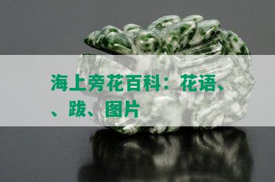 海上旁花百科：花语、、跋、图片