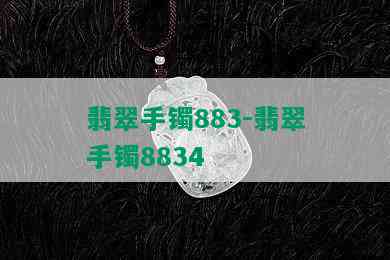 翡翠手镯883-翡翠手镯8834