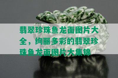 翡翠珍珠鱼龙面图片大全，绚丽多彩的翡翠珍珠鱼龙面图片大集锦