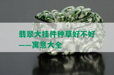 翡翠大挂件种草好不好——寓意大全