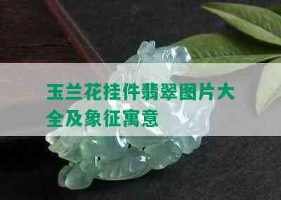 玉兰花挂件翡翠图片大全及象征寓意