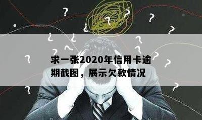 求一张2020年信用卡逾期截图，展示欠款情况