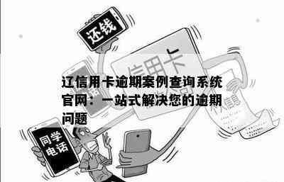 辽信用卡逾期案例查询系统官网：一站式解决您的逾期问题