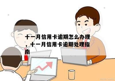 十一月信用卡逾期怎么办理，十一月信用卡逾期处理指南