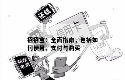 招招宝：全面指南，包括如何使用、支付与购买