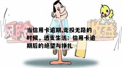 当信用卡逾期,走投无路的时候，透支生活：信用卡逾期后的绝望与挣扎