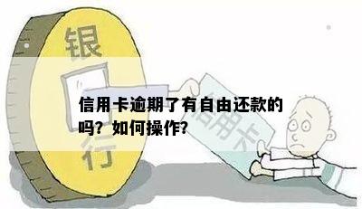 信用卡逾期了有自由还款的吗？如何操作？