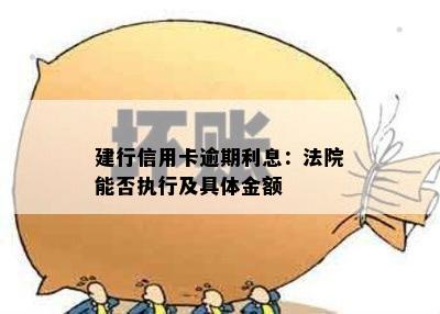 建行信用卡逾期利息：法院能否执行及具体金额