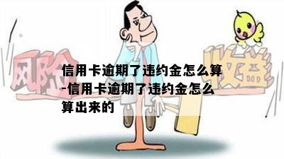 信用卡逾期了违约金怎么算-信用卡逾期了违约金怎么算出来的