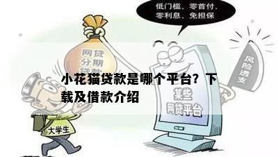 小花猫贷款是哪个平台？下载及借款介绍