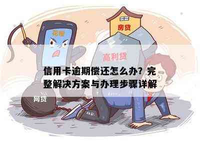 信用卡逾期偿还怎么办？完整解决方案与办理步骤详解