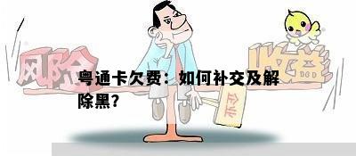 粤通卡欠费：如何补交及解除黑？