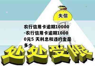 农行信用卡逾期10000-农行信用卡逾期10000元5 天利息和违约金是多少