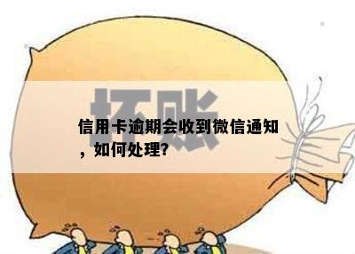 信用卡逾期会收到微信通知，如何处理？