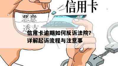 信用卡逾期如何反诉法院？详解起诉流程与注意事