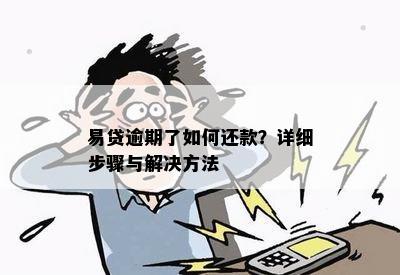 易贷逾期了如何还款？详细步骤与解决方法