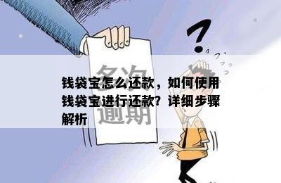 钱袋宝怎么还款，如何使用钱袋宝进行还款？详细步骤解析