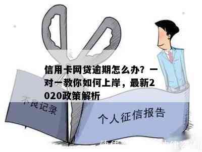 信用卡网贷逾期怎么办？一对一教你如何上岸，最新2020政策解析