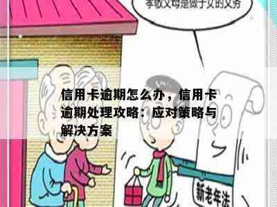 信用卡逾期怎么办，信用卡逾期处理攻略：应对策略与解决方案