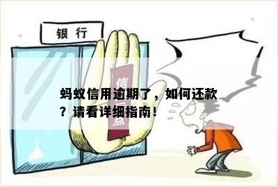 蚂蚁信用逾期了，如何还款？请看详细指南！