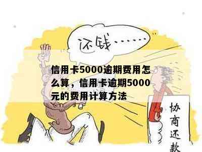 信用卡5000逾期费用怎么算，信用卡逾期5000元的费用计算方法