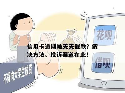 信用卡逾期被天天催款？解决方法、投诉渠道在此！