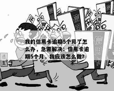 我的信用卡逾期5个月了怎么办，急需解决：信用卡逾期5个月，我应该怎么做？