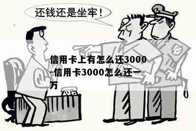 信用卡上有怎么还3000-信用卡3000怎么还一万