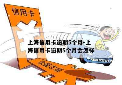 上海信用卡逾期5个月-上海信用卡逾期5个月会怎样