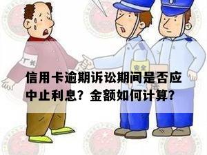 信用卡逾期诉讼期间是否应中止利息？金额如何计算？