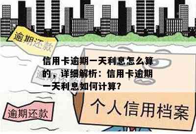 信用卡逾期一天利息怎么算的，详细解析：信用卡逾期一天利息如何计算？