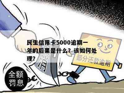 民生信用卡5000逾期一年的后果是什么？该如何处理？