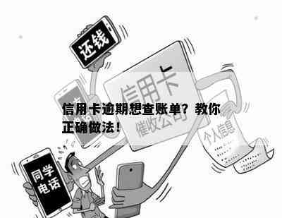 信用卡逾期想查账单？教你正确做法！