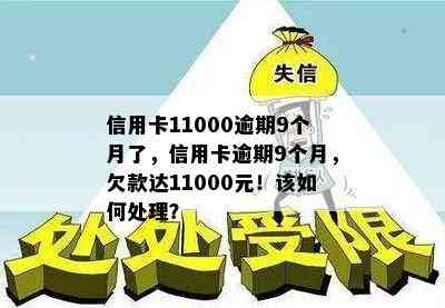 信用卡11000逾期9个月了，信用卡逾期9个月，欠款达11000元！该如何处理？