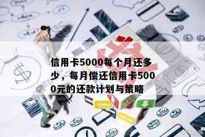 信用卡5000每个月还多少，每月偿还信用卡5000元的还款计划与策略