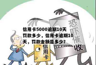 信用卡5000逾期10天罚款多少，信用卡逾期10天，罚款金额是多少？