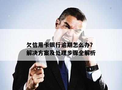 欠信用卡银行逾期怎么办？解决方案及处理步骤全解析