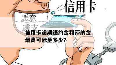 信用卡逾期违约金和滞纳金更高可涨至多少？