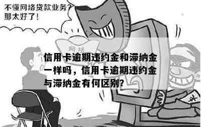 信用卡逾期违约金和滞纳金一样吗，信用卡逾期违约金与滞纳金有何区别？