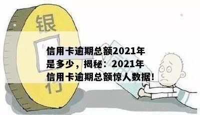 信用卡逾期总额2021年是多少，揭秘：2021年信用卡逾期总额惊人数据！