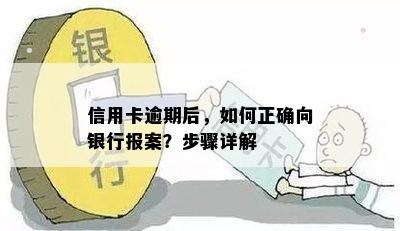 信用卡逾期后，如何正确向银行报案？步骤详解