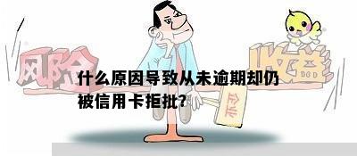 什么原因导致从未逾期却仍被信用卡拒批？