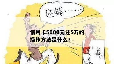 信用卡5000元还5万的操作方法是什么？