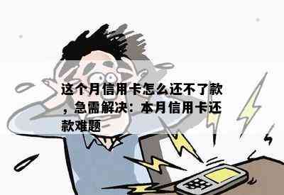 这个月信用卡怎么还不了款，急需解决：本月信用卡还款难题