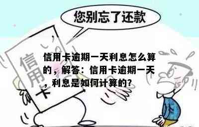 信用卡逾期一天利息怎么算的，解答：信用卡逾期一天，利息是如何计算的？