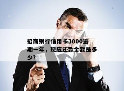 招商银行信用卡3000逾期一年，现应还款金额是多少？