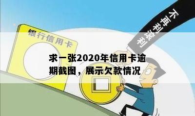 求一张2020年信用卡逾期截图，展示欠款情况