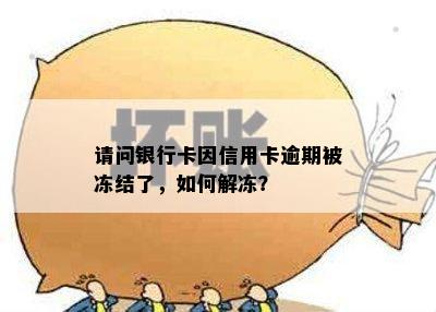 请问银行卡因信用卡逾期被冻结了，如何解冻？